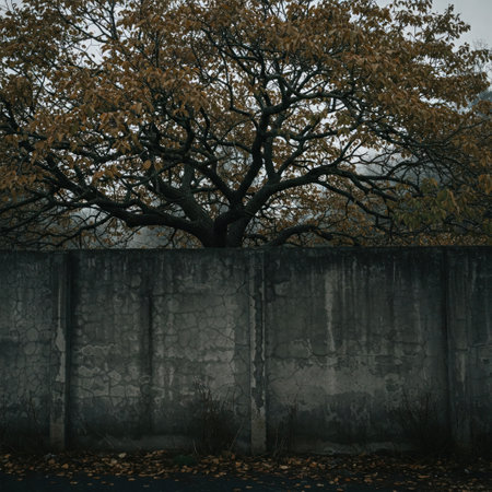 An autumn tree behind a gray concrete wall in cloudy weatherの素材