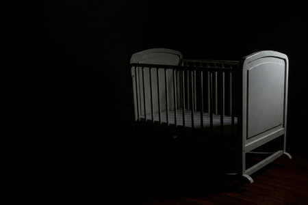 Baby cat in the shade with a mysterious light. Space for textの素材