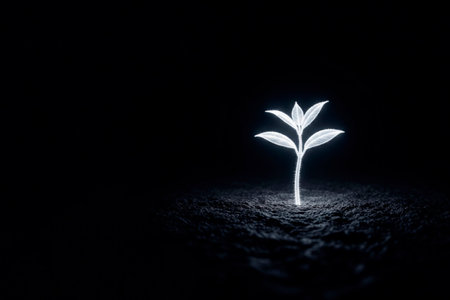 A glowing sprout sprouts from the dark earth in the dark. Space for textの素材