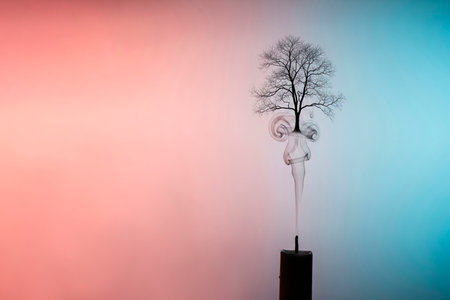 A tree of life that emerges from the smoke of an extinguished candle. Space for textの素材