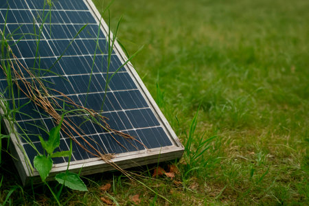 A solar panel overgrown with grass in a meadow. Space for textの素材