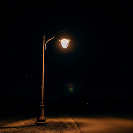 Single Street Light in the Dark. Space for textの素材