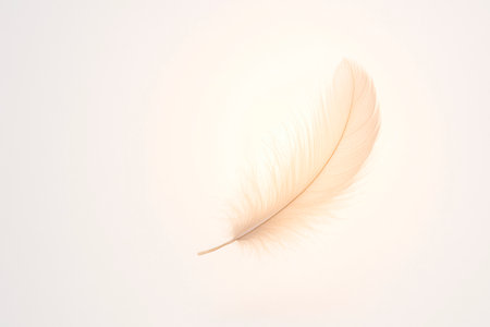Feather in the air on a light background. Space for textの素材