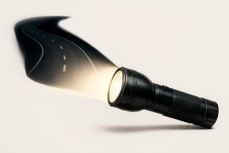 A flashlight shining on the roadの素材