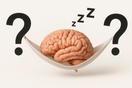 The brain sleeps in a hammock of question marksの素材