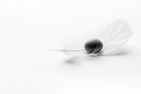 A light feather and a black stone on a light background. Space for textの素材