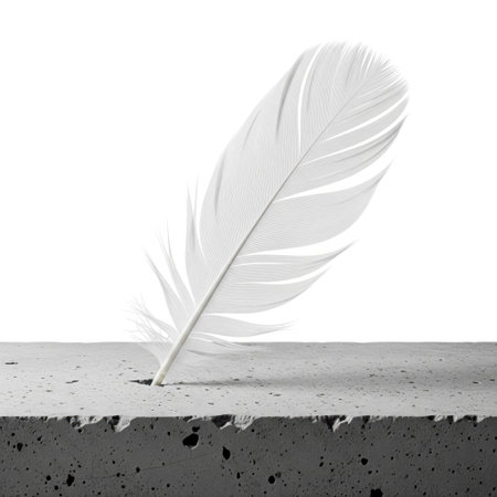 A white feather embedded in concreteの素材