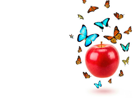 A red apple is surrounded by bright butterflies. Space for textの素材