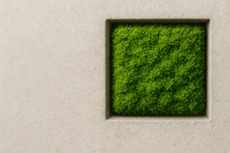 Green moss in a square niche in the wall. Space for textの素材