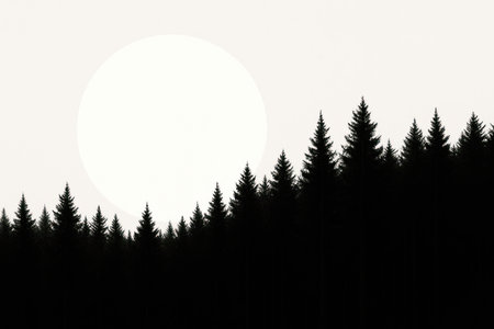 A dark forest and a big white sunの素材