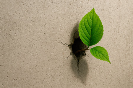 A green leaf breaking through a crack in the concrete. Space for textの素材