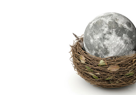 The moon in a bird's nest made of branches. Space for textの素材