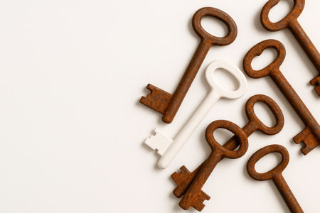 A white key among rusty old keys. Space for textの素材