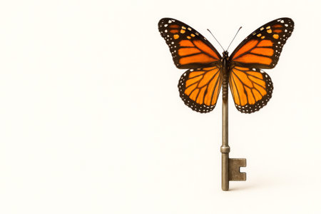 Key butterfly on a light background. Space for textの素材