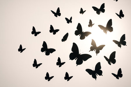 Silhouettes of butterflies against the background of the bright sun. Space for textの素材