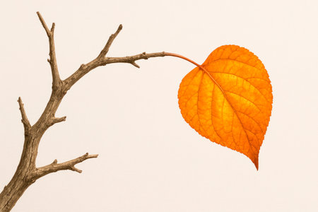 An orange heart-shaped leaf on a dry branchの素材
