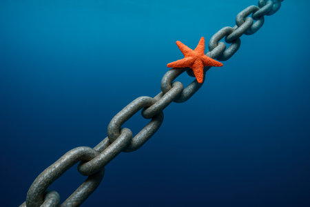 Starfish on an underwater chainの素材