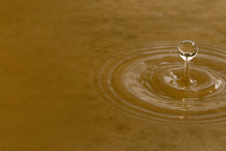 A drop of water and circles on a calm surface. Space for textの素材