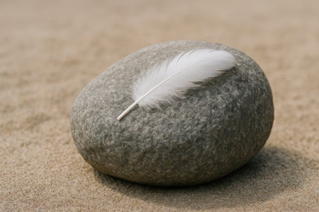 A white feather lies on a gray stoneの素材