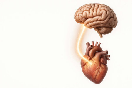 The connection between the brain and the heart is a golden energy flow. Space for textの素材