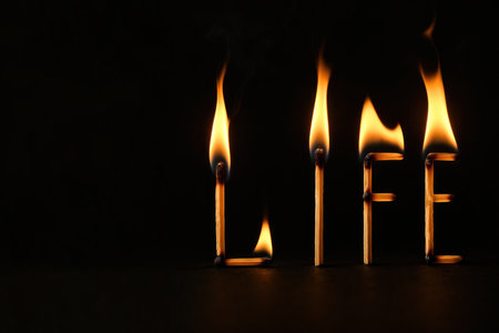 The word LIFE from burning matches on a black background. Space for textの素材