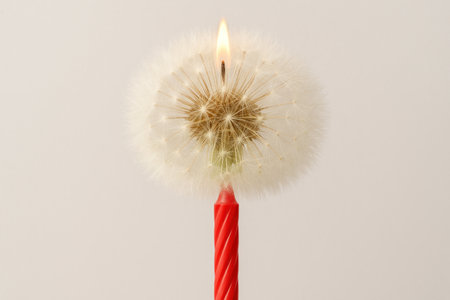 A fluffy dandelion turned into a burning delicate candleの素材