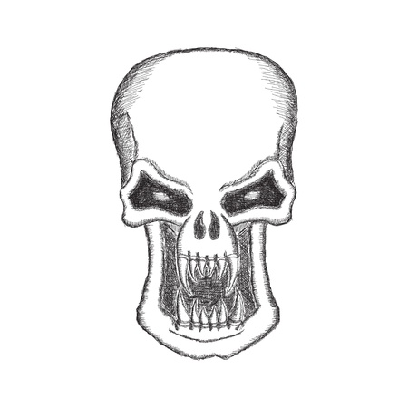 Vampire Skull in pencil isolated on white backgroundのイラスト素材