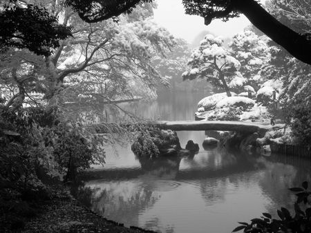 The pond in winterの写真素材