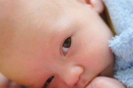 Little baby head close-upの写真素材