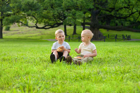 Picnic on the grass. Two little boys have a dinner with pizza on the meadow at the noonの写真素材