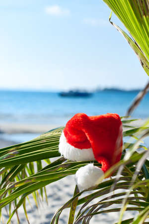 Red Santa's hat hanging on palm tree at the tropical beach. Christmas in tropical climate conceptの写真素材