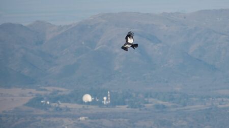Taken near to the Andes mountains and a transmitter plant on backgroundの写真素材