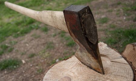 An used ax stuck in trunk