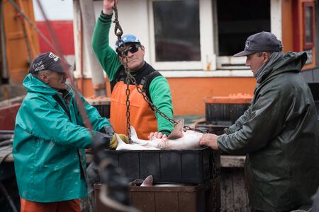 Mar del Plata, Argentina - September 19 2016: It is a small fishing boat, typical of the port of Mar del Plata, returning from a day of fishing, usually depart at dawn and return at sunset. They had a very good day of fishing, mainly of sharks.のeditorial素材