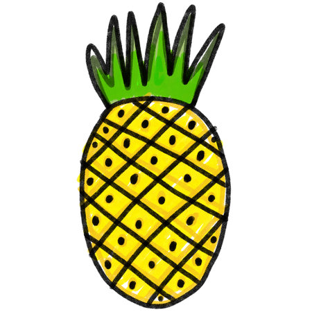 pineapple on a white backgroundの写真素材