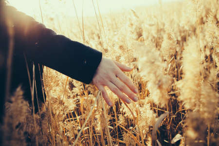 Freedomの写真素材