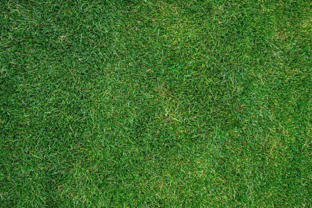 Background material texture grass green lawn  for backdrop and wallpaper.の写真素材