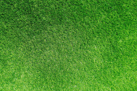 Background material texture grass green lawn  for backdrop and wallpaper.の写真素材