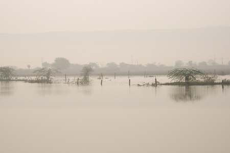 Flooded fieldsの写真素材