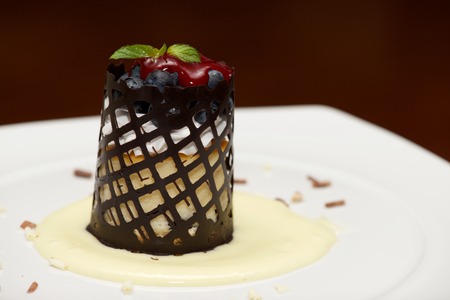 Blueberry cheesecake with chocolate lattice in sauceの写真素材
