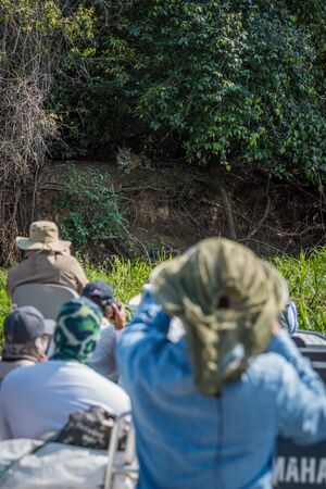 Jaguar being photographed by people on boatsの写真素材