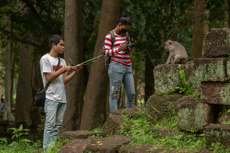 Tourists photograph long-tailed macaque in temple ruinsのeditorial素材