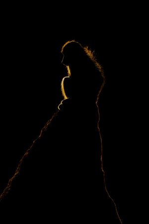 Chacma baboon sits on termite mound backlitの写真素材