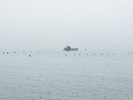 Aquaculture boat working in the open seaの写真素材