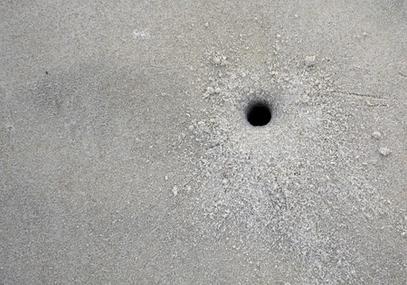 Down the crab holeの写真素材