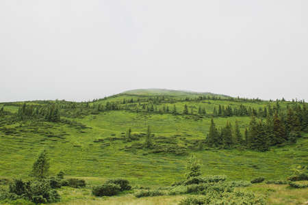 Beautiful mountains in Carpathian.Wild nature.の写真素材