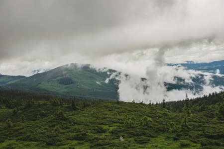 Beautiful mountains in Carpathian.Wild nature.の写真素材