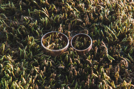 beautiful golden wedding rings for married peopleの写真素材