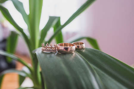 beautiful golden wedding rings for married peopleの写真素材