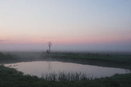 Beautiful foggy sunrise in Ukraine. Fog on the field. Untouched natureの写真素材